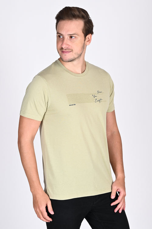 Everyday Wear Solid Graphic Pista Color Tshirt