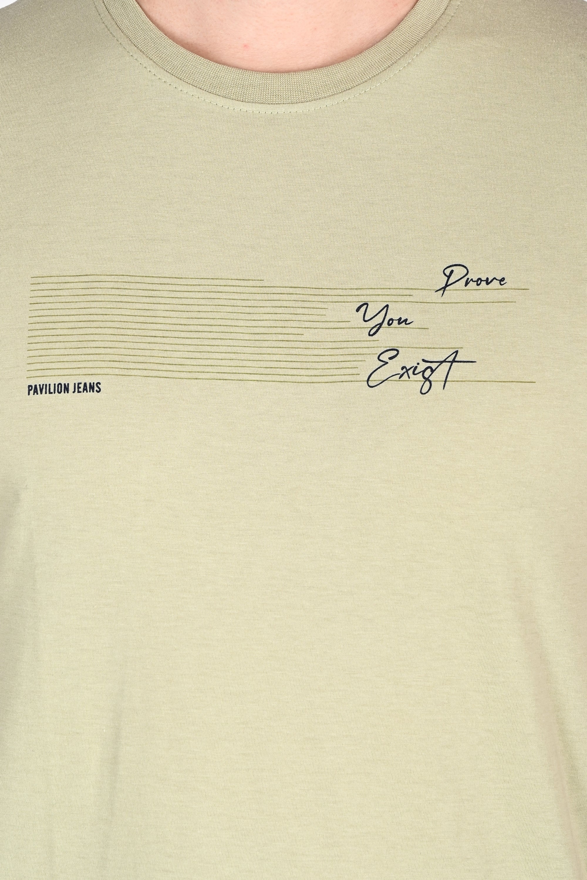 Everyday Wear Solid Graphic Pista Color Tshirt